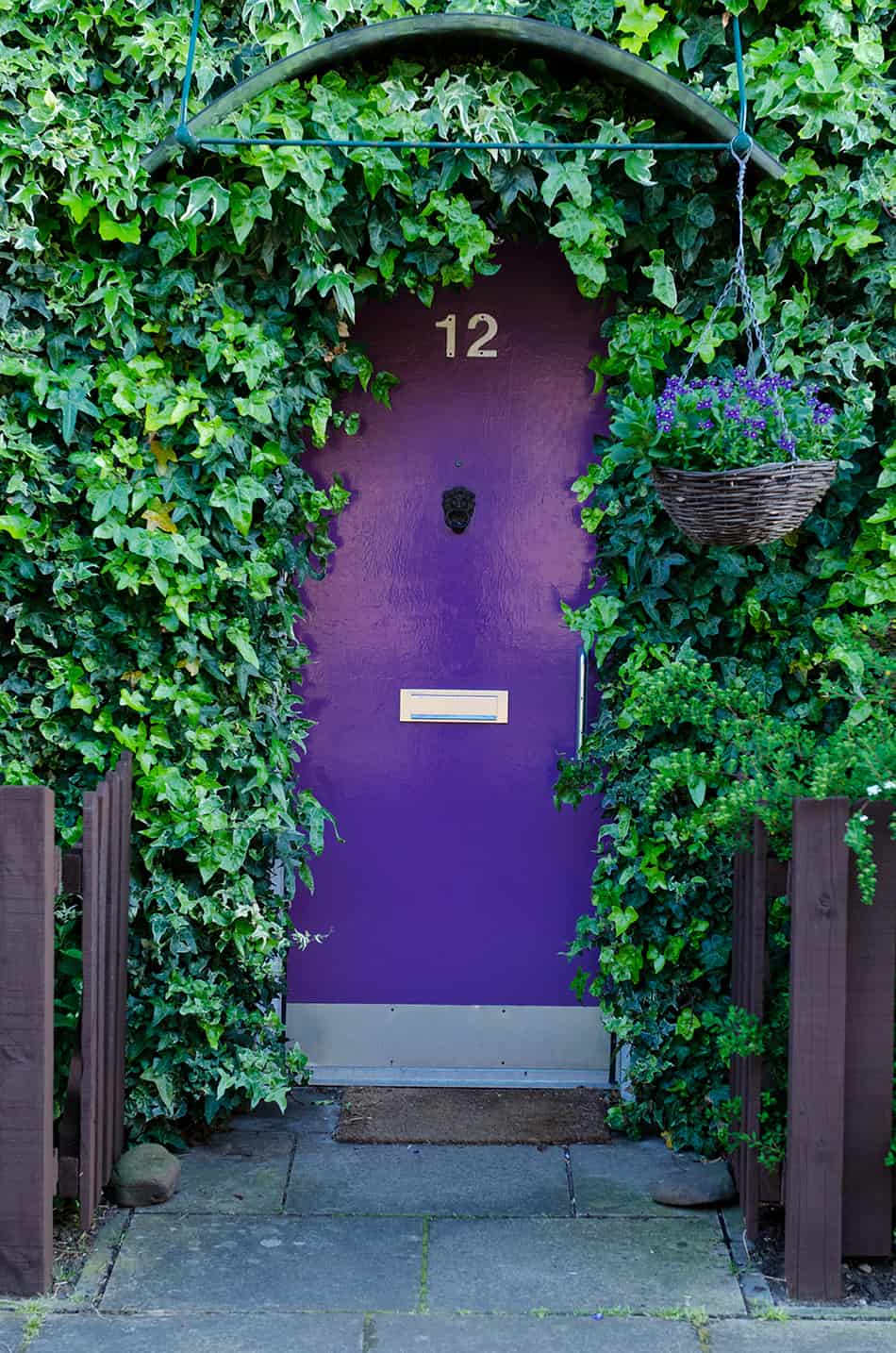 用懸掛植物裝飾的紫色門