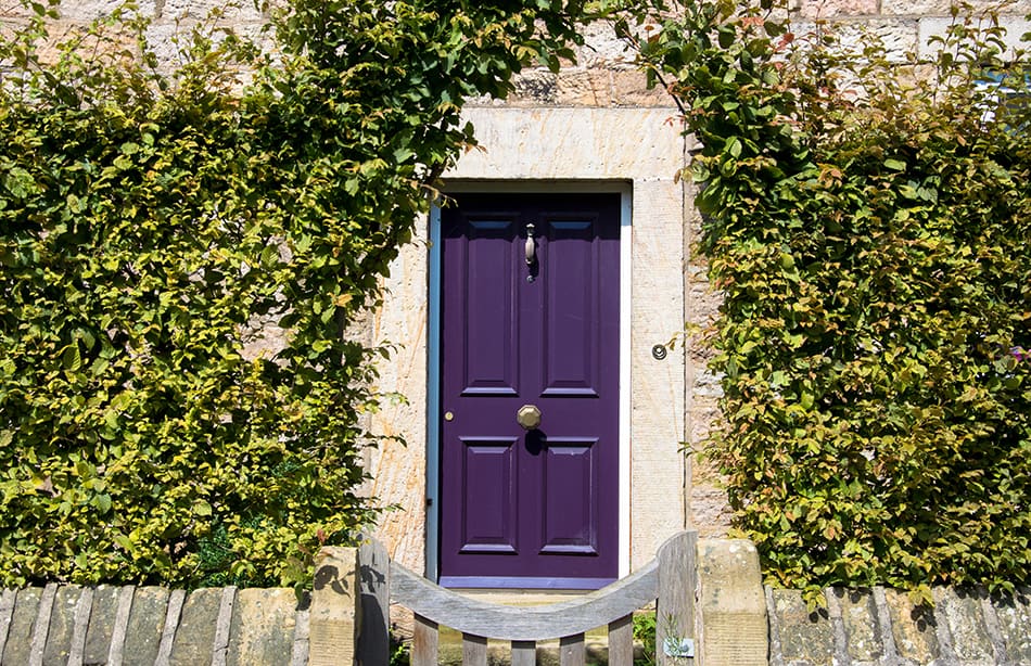 17個紫色的前門讓你的家更有吸引力