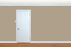 白色的門一個優雅的室內的木質裝飾的想法